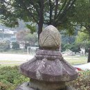 완산초등학교 Daum카페