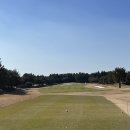 제주도 골프장의 새로운 혁신, AI 챗봇을 활용한 해비치CC 제주 예약 서비스
