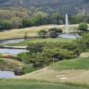 포천아도니스 C.C 이미지