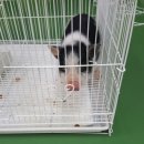 서해유치원 이미지