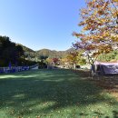 캠플레이 이미지