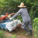 24시교동촌콩나물해장국밥 이미지