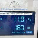 niziuhair(니지유헤어) | 니지페스 겸 도쿄 4박 5일 여행 블로그 ! ! (이케부쿠로, 후지큐 하이랜드, 아키하바라, 나카노, 시부야)
