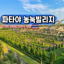코끼리마트 | 파타야 여행 추천 농눅빌리지 입장권 가격 할인 코끼리쇼