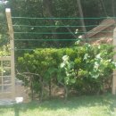 파랑새정원 이미지