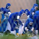 훈춘중국식품마트 연합뉴스