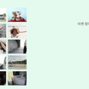 Paxi(팩시) 이미지