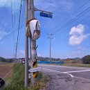통나무집사람들 | #25 태안둘레길캠핑장 명당 S5 추천후기 / SE클럽 / 통나무집사람들
