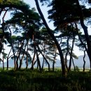 솔밭농장 이미지