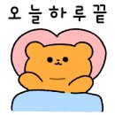 이영수 고양이 병원 이미지