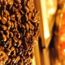 베네지오 이미지