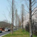 신탄진 졸음쉼터 이미지