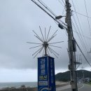 라메르 펜션 | [울진군] 라메르 펜션 | 스노클링 스팟 진복방파제 근처 | B101호 후기 | 내 돈 내산 | 장단점