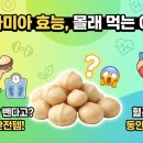 [ZOOM] 한의사의 저탄고지 다이어트 | "지방 먹어서 살 뺀다고?" 다이어터들이 마카다미아 몰래 챙겨 먹는 이유!