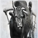 새미끌집 이미지