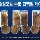 엔젤카크리닉 이미지