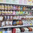 멍냥펫24 이미지