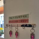나리 민박 | 2024년 울릉도: 넷째날 나리분지, 준이네 민박, 카페울라, 천금수산