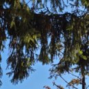 보배 어린이공원 이미지