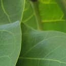 서울행복내과의원 이미지