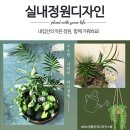 꽃과정원원예연구소학원 이미지
