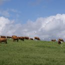 (유)조은환경 이미지