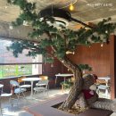 조개터로 이미지