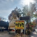 백운농장 | [내돈내산] 단풍구경 안한 단풍놀이🍁: 수원 광교 백운 농장 후기, 감자 전 맛 도리