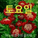 첫방송축하드립니다 이미지