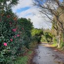 교래생태체험장 이미지