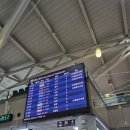 김해국제공항 국제선청사 | 김해공항 국제선 면세품인도장 위치, 인터넷면세추천템 귀걸이