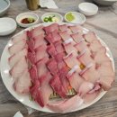 금수산 | 대전 유성 봉명동 금수산회센터 방문 후기｜방어철 제대로 느끼고 온 신선한 회 맛집