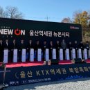 신바람공인중개사사무소 이미지