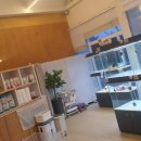 애니멀즈 강아지분양 고양이분양 천안점 이미지