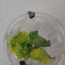 주몽학교 이미지