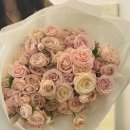 올로르플라워 Olor Flower 이미지