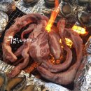 프리마베라펜션 네이버블로그