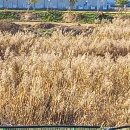 생극파크골프장 이미지