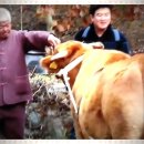 송송골느림보협동조합 이미지