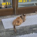 예지머리방