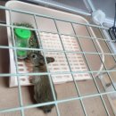 (야)스마트폰 활용 이미지