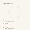 스카이뷰 이미지