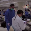 덴탈웨이 이미지