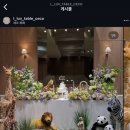 창원 컨벤션센터 앞 | 창원 세코 연회장 돌잔치 예약 후기 (창원 컨벤션센터)