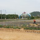 성운농장 이미지