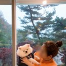 with dog(위드독) 이미지
