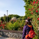 먹골역7번출구 이미지