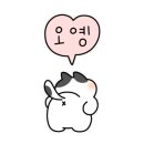 273회 정기연주회 이미지