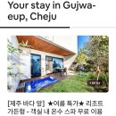 달마루스파 이미지