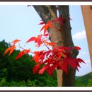 연향초등학교 이미지